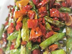-丁老爷子苏香圆