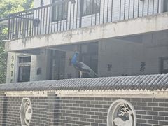 -南海子公园