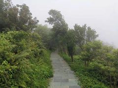 -梧桐山风景名胜区