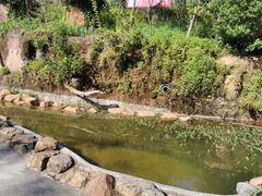 -观澜山水田园