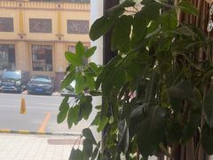 -天天渔港(杏林街店)