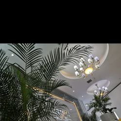 点击看大图 -痘敏医生专业祛痘·肌肤修复连锁