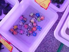 -宝鸡东道花鸟鱼虫市场(吉利花园商场店)