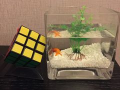 -扬州东关街文昌阁桔子水晶酒店