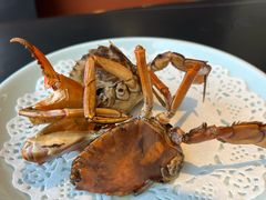 -鑫悦楼煎蟹·16年海鲜大排档