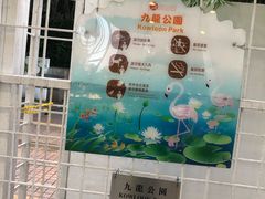 -九龙公园
