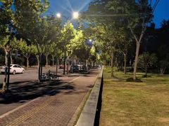 -上海如意智慧酒店(上海科学院店)