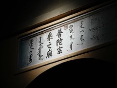 -巴音郭楞蒙古自治州博物馆