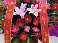 -怡花宜木鲜花店(朝阳路店)