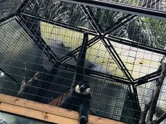 -海南热带野生动植物园