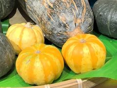 -渔珺石锅鱼·云南菜(天泽街店)