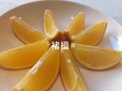 -沿途四季·云南菜·诗酒茶(蓝色港湾店)