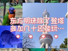 -上海大自然野生昆虫馆(东方明珠·爬宠昆虫探索中心)