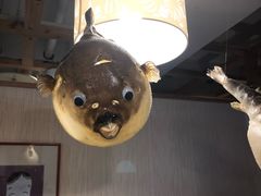 -玄品河豚(那覇國際通里之関)