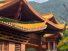 -深圳仙湖植物园