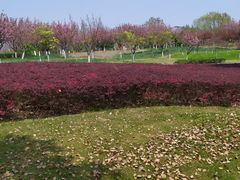 -白塘生态植物园