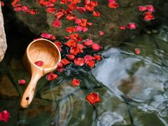 -瑜上·山食小馆