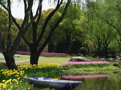 -上海滨江森林公园