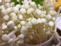 -黄记煌三汁焖锅(龙湖U城店)