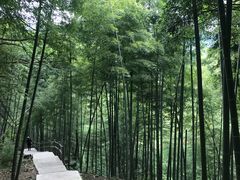 -藏龙百瀑风景区