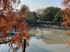 -汇龙潭