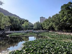 -五泉山公园