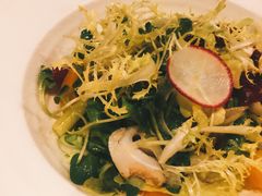 -蝶舍·MAISON PAPILLON