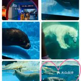 #济南周边游#在海边,是游而不是游泳