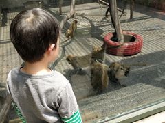 -无锡动物园·太湖欢乐园