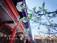 -居庸关长城