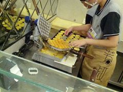 签到图片-芳叔(东方宝泰店)