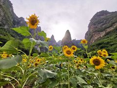 -神农山景区