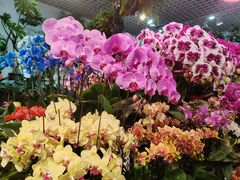 -三旗百汇商品城