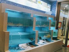 -瑞琳阿尔泰冷水鱼(康源财富中心店)