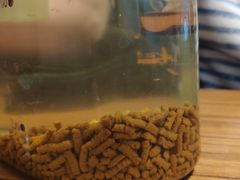 -禾珍珠家常小馆(河南博物院店)