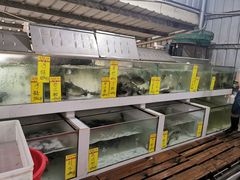 -水上人家河鲜