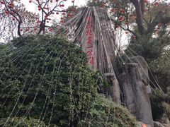 -绵阳人民公园(涪城区)