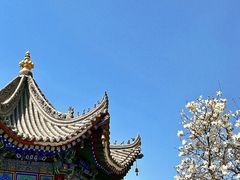 -西安市广仁寺