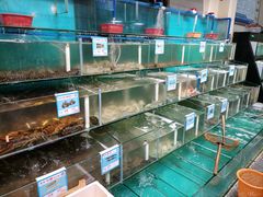 水产区-琼大师东方烤乳猪(亚特兰蒂斯店)