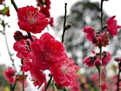 -广州市白云山风景名胜区