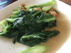 -大树下海鲜饭店