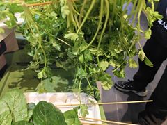 -佰人王串串香火锅(洋珠巷店)