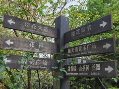 -南山植物园