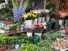 -平吉花卉市场