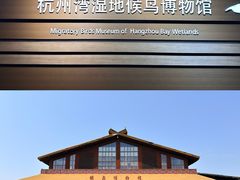 -宁波杭州湾国家湿地公园