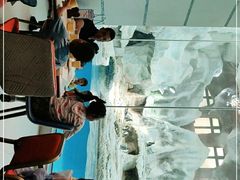 -帝企鹅自助餐厅•儿童岛•真企鹅(长隆企鹅酒店)