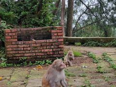 -重庆雨台山风景区
