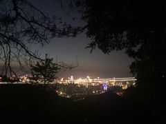-南山植物园