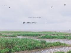 -南汇嘴观海公园