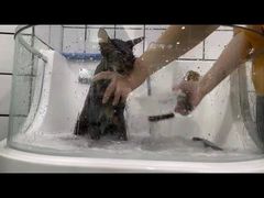 -Pets First伊珊娜洗护·精致美容·家庭式寄养(新会路店)